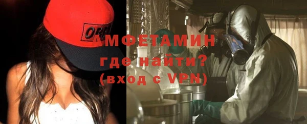 шишки Няндома