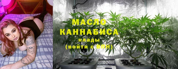 молекула духа Новодвинск