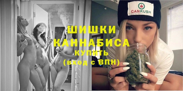 молекула духа Новодвинск