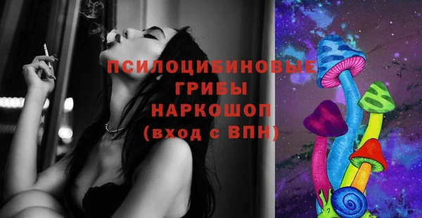 а пвп мука Новозыбков