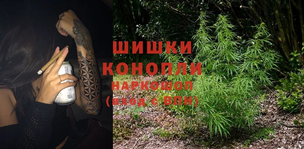 молекула духа Новодвинск