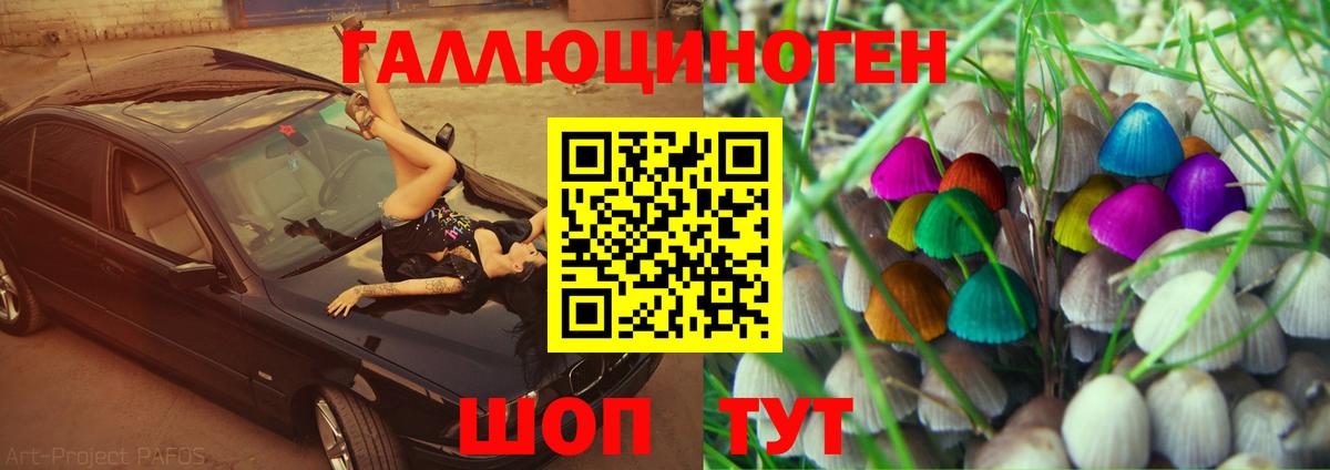 Галлюциногенные грибы Magic Shrooms Саратов